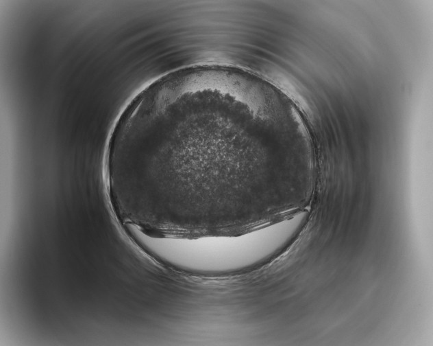 X0000094781084200711301541