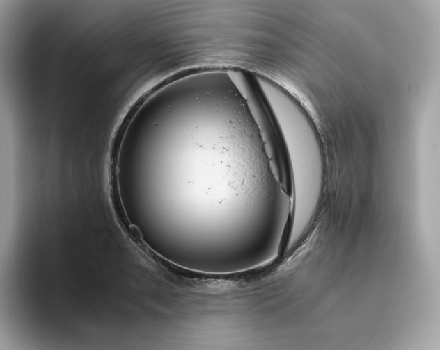 X0000094781085200711301541