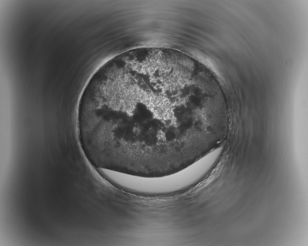 X0000094781087200711301541