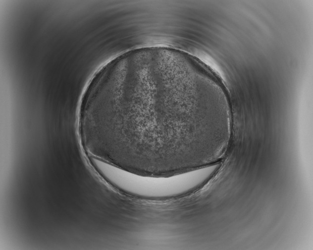 X0000094781088200711301541