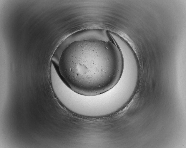X0000094781089200711301541