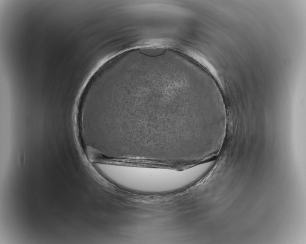 X0000094781091200711301541