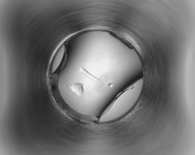 X0000094781092200711301541