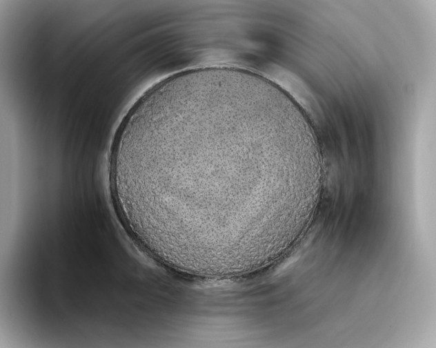X0000094781094200711301541