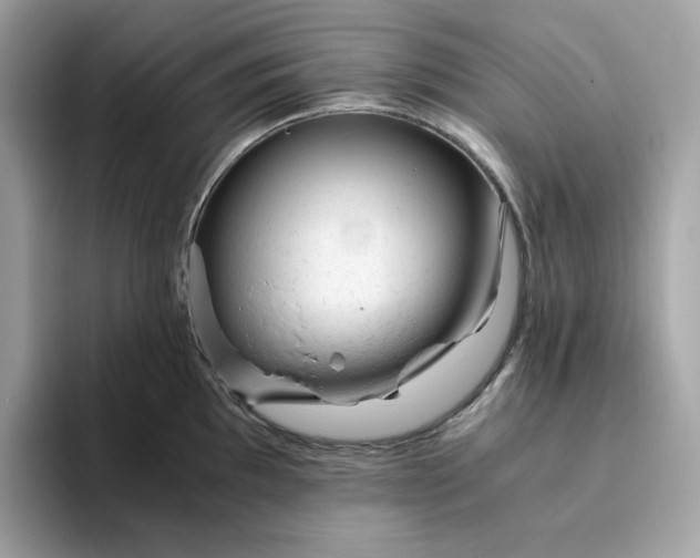 X0000094781097200711301541
