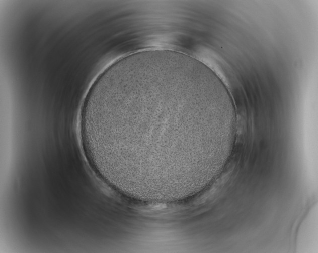 X0000094781098200711301541