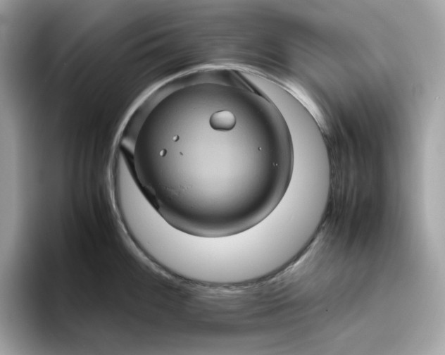 X0000094781100200711301541