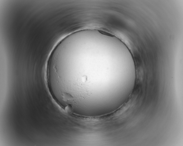 X0000094781103200711301541
