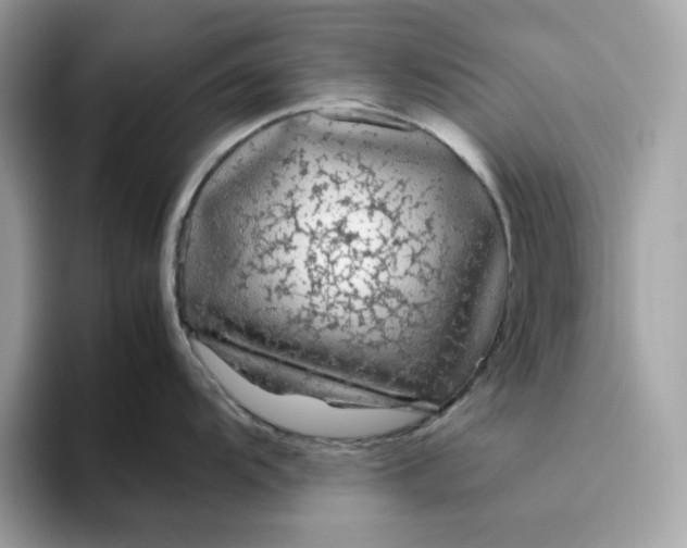 X0000094781104200711301541
