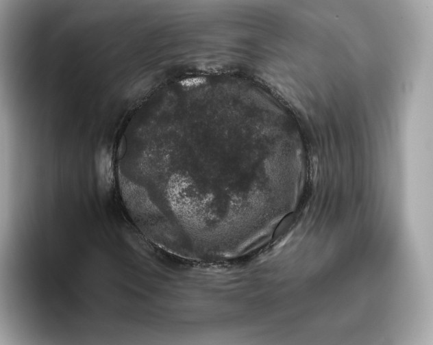 X0000094781106200711301540