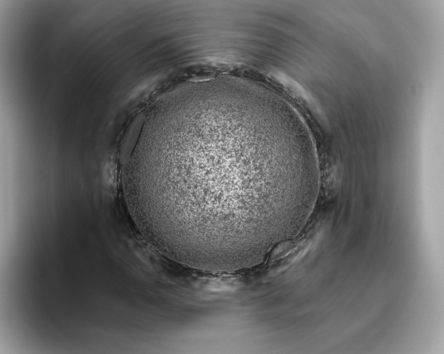 X0000094781110200711301540