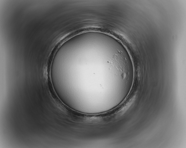 X0000094781113200711301540