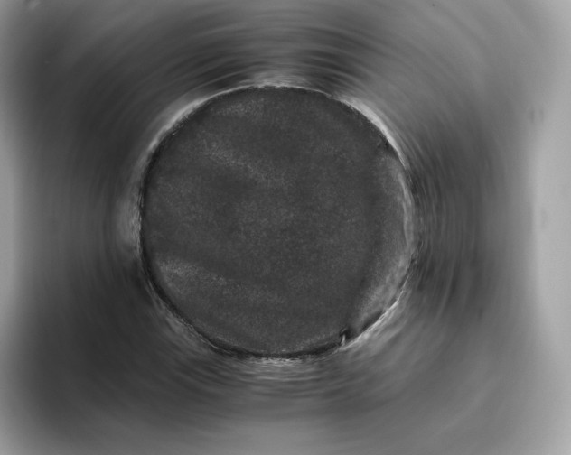 X0000094781115200711301540