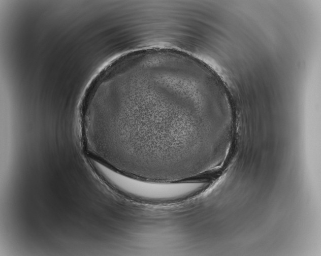 X0000094781118200711301540