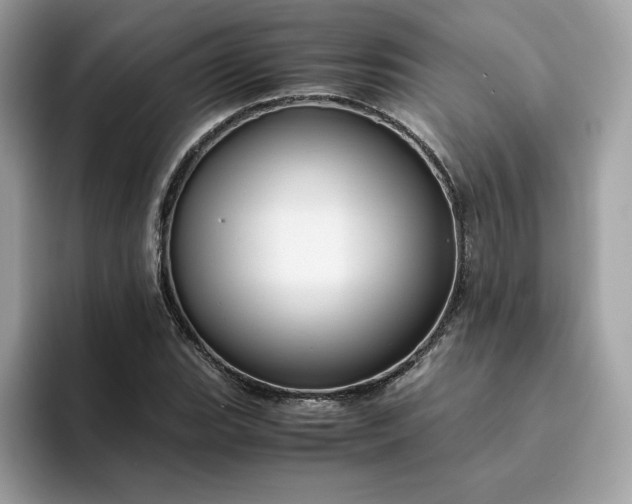 X0000094781119200711301540