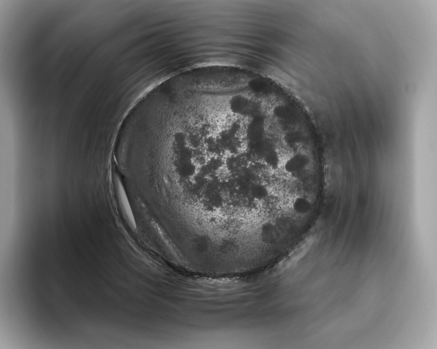 X0000094781121200711301541