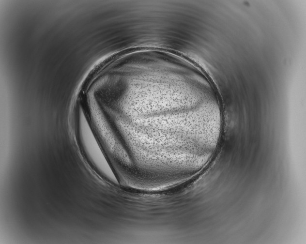 X0000094781123200711301541
