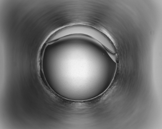X0000094781124200711301541