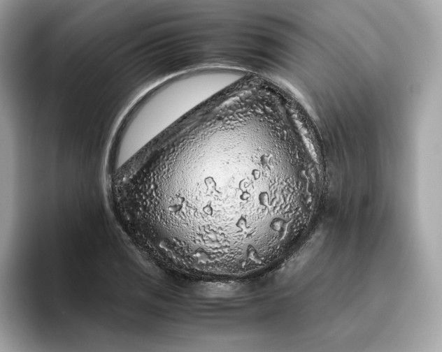 X0000094781125200711301541