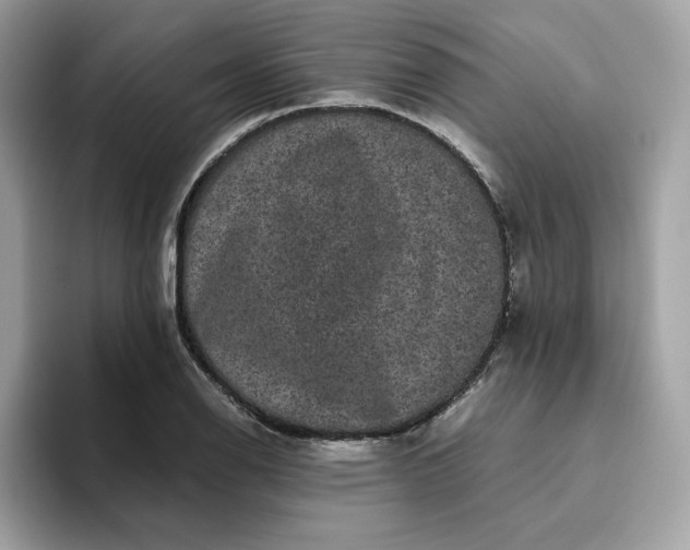 X0000094781126200711301541