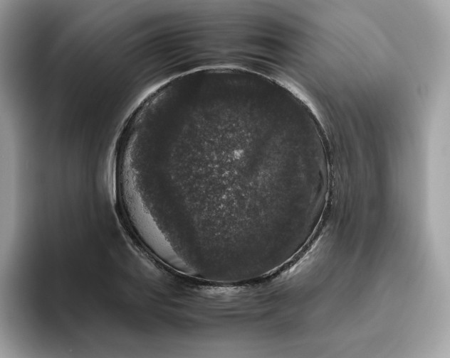 X0000094781127200711301541