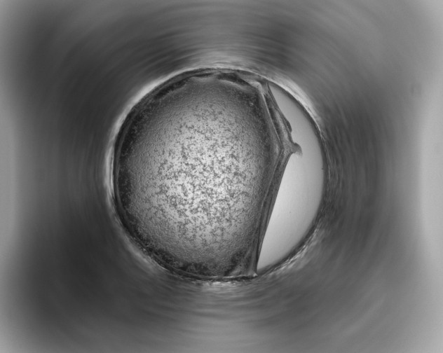 X0000094781128200711301541