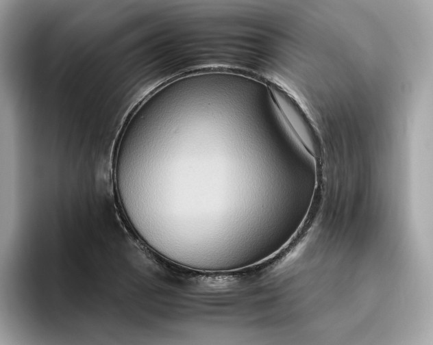 X0000094781129200711301541