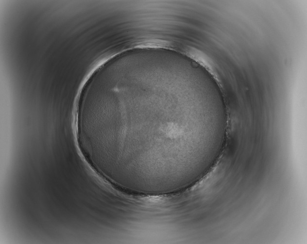 X0000094781130200711301541