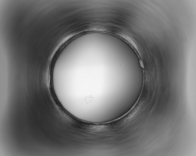 X0000094781131200711301541