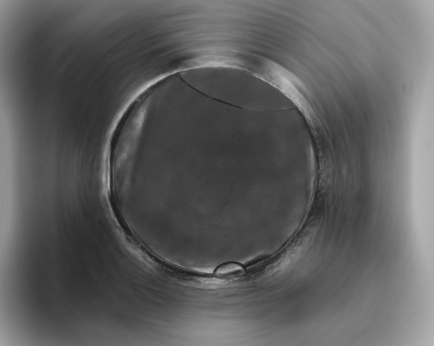 X0000094781132200711301541