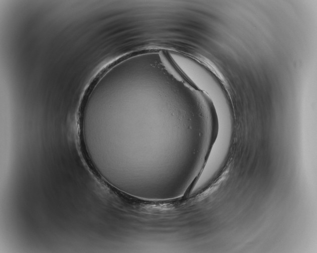 X0000094781133200711301541