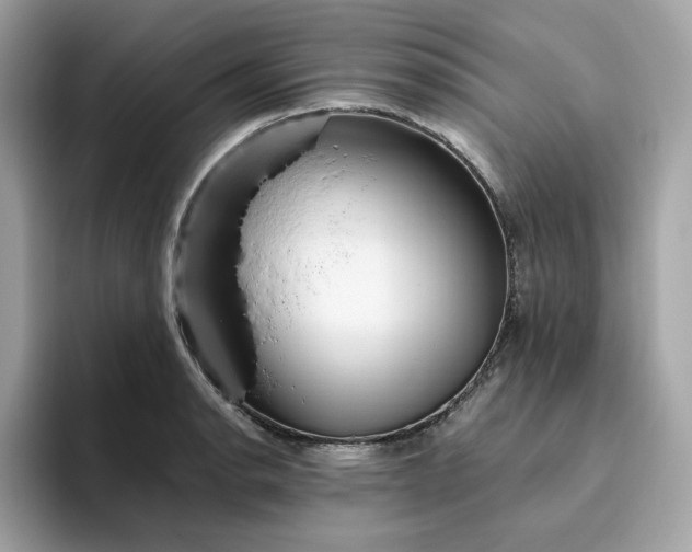 X0000094781134200711301541
