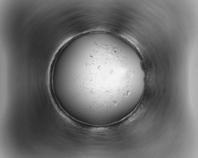 X0000094781135200711301541