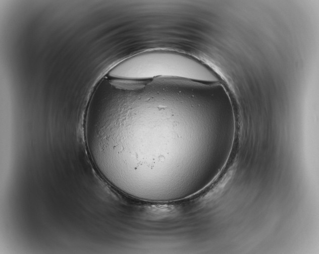 X0000094781137200711301541