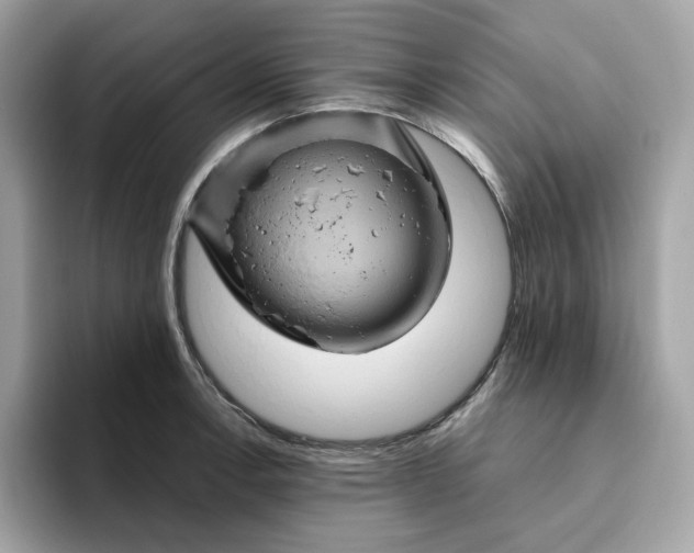 X0000094781138200711301541