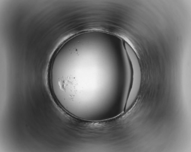 X0000094781139200711301541
