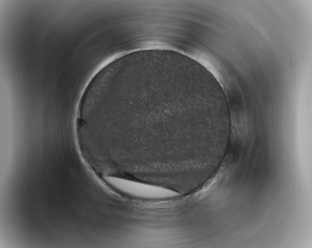 X0000094781142200711301541