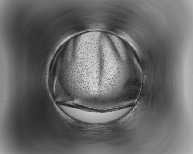 X0000094781143200711301541
