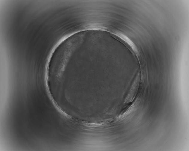 X0000094781144200711301541