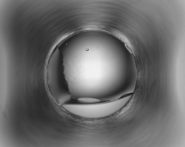 X0000094781146200711301541