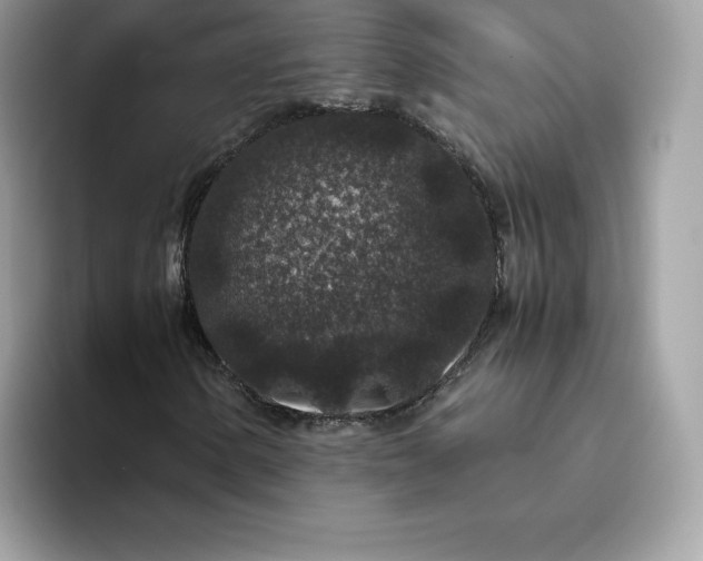 X0000094781154200711301540