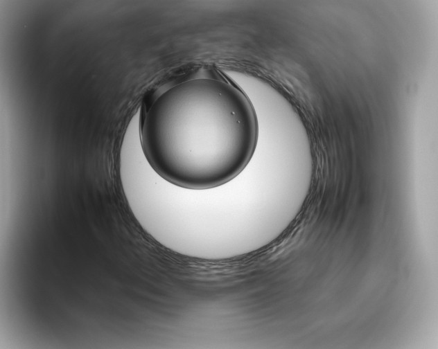X0000094781156200711301540