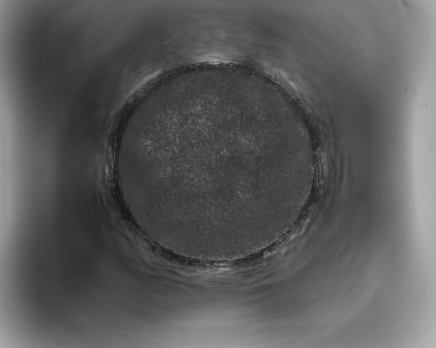 X0000094781158200711301540