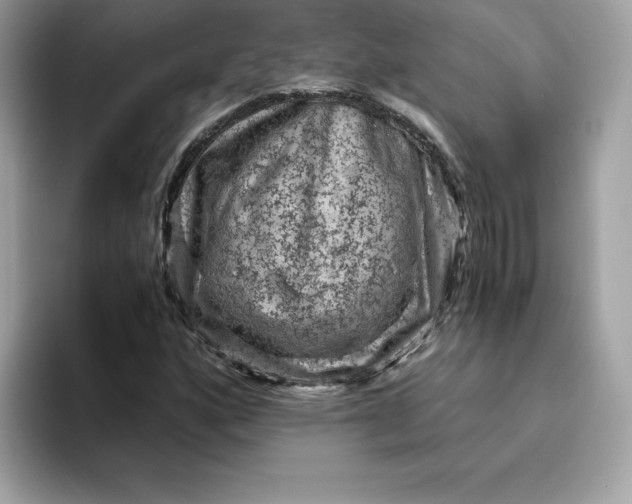 X0000094781160200711301540