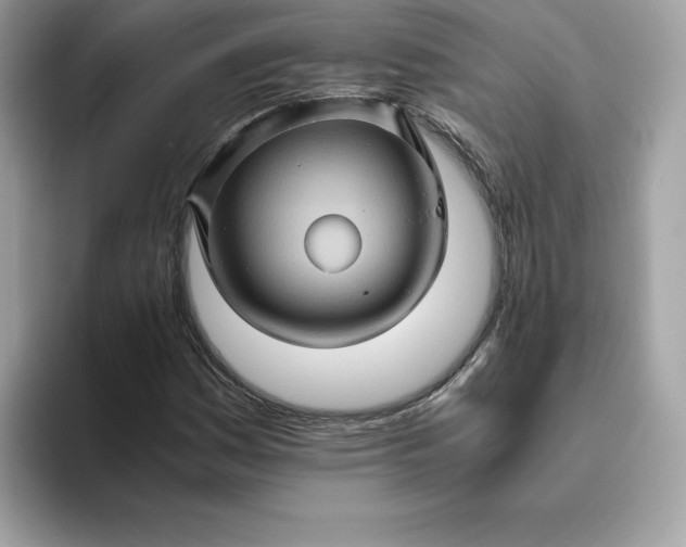 X0000094781161200711301540