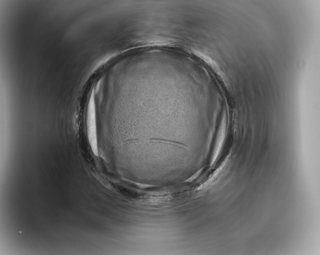 X0000094781163200711301540