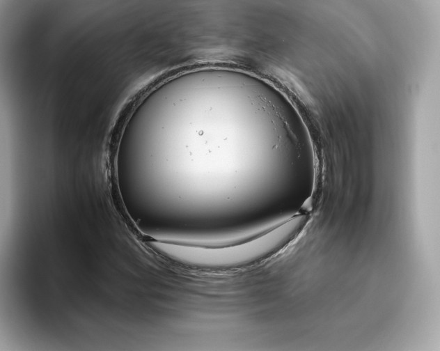 X0000094781164200711301540