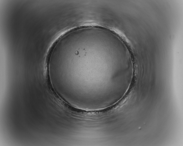 X0000094781167200711301540
