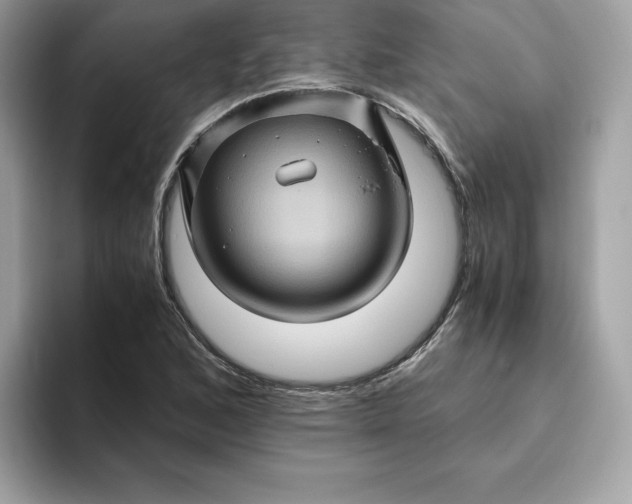 X0000094781168200711301540