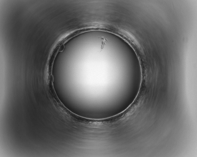 X0000094781172200711301540